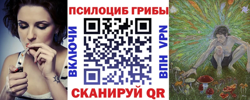 закладка  Сафоново  блэк спрут ссылки  Псилоцибиновые грибы мухоморы 